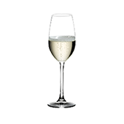 Champagne Glasses