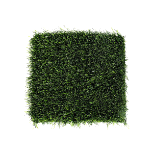 Artificial Grass