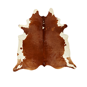 Shop cowhide rugs products