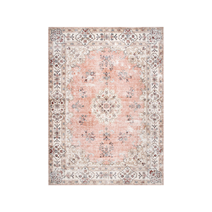 Shop Temple and Webster machine washable  rugs category