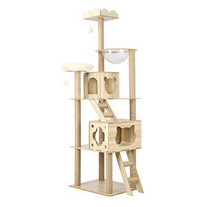 Shop Temple and Webster Cat Trees & Scratching Posts