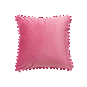 Velvet Cushions