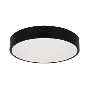 Oyster & Flush Ceiling Lights