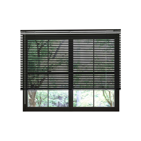 Venetian Blinds