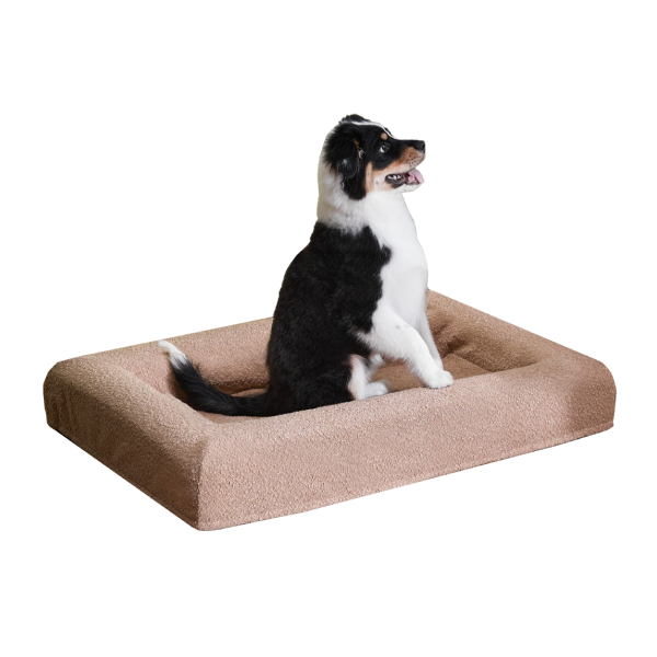 Shop Pet category