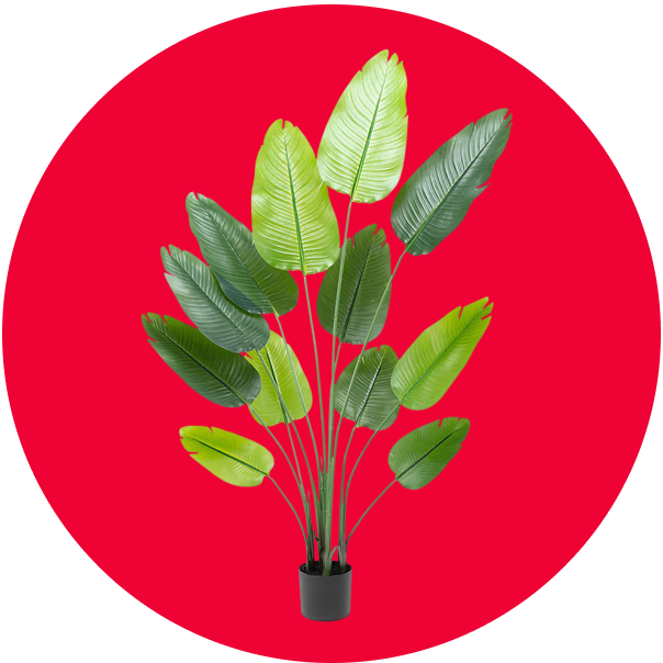 Sale Decor