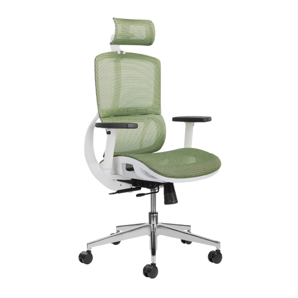 Ergonomic Office Chairs