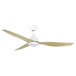Ceiling Fans