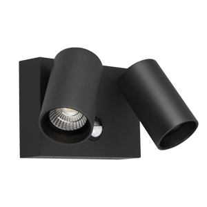 Security Lights