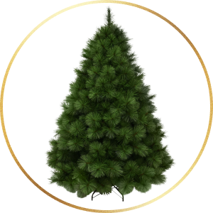 Christmas Trees
