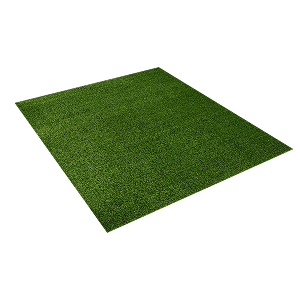Artificial Grass