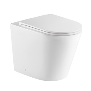 Shop Toilets & Bidets