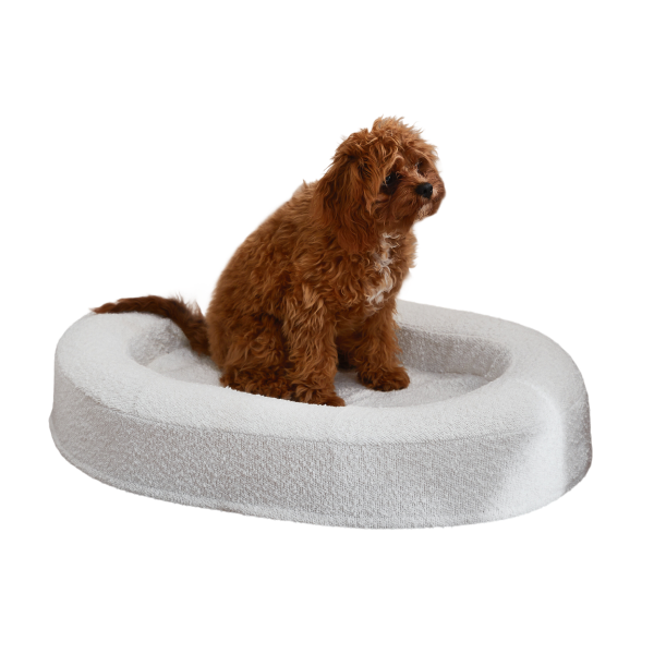 Pet