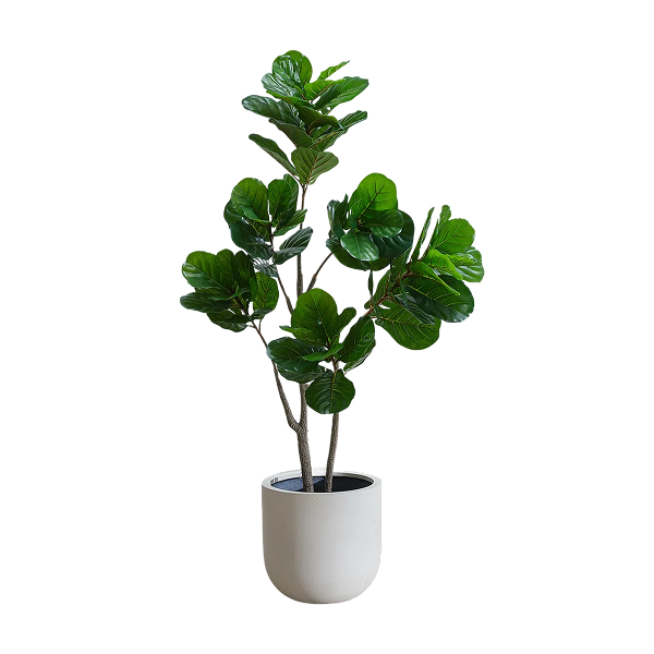 Shop artificial plants and flowers products