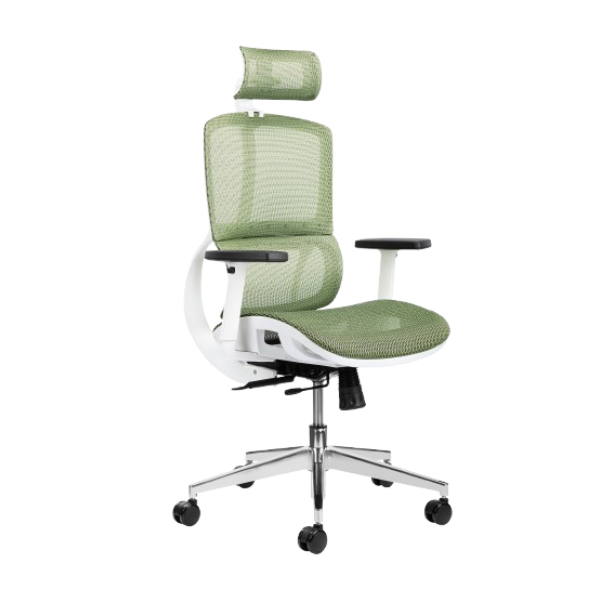 Ergonomic Office Chairs