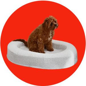 Pet
