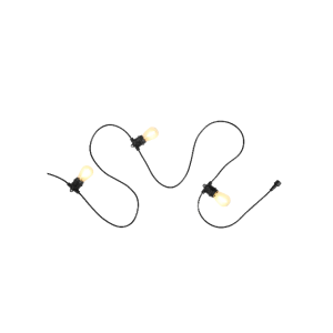 Shop Temple and Webster Party Lights