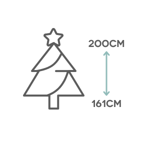 Medium Christmas Trees