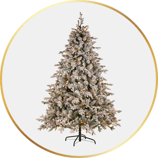Snowy Christmas Trees