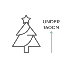 Small Christmas Trees