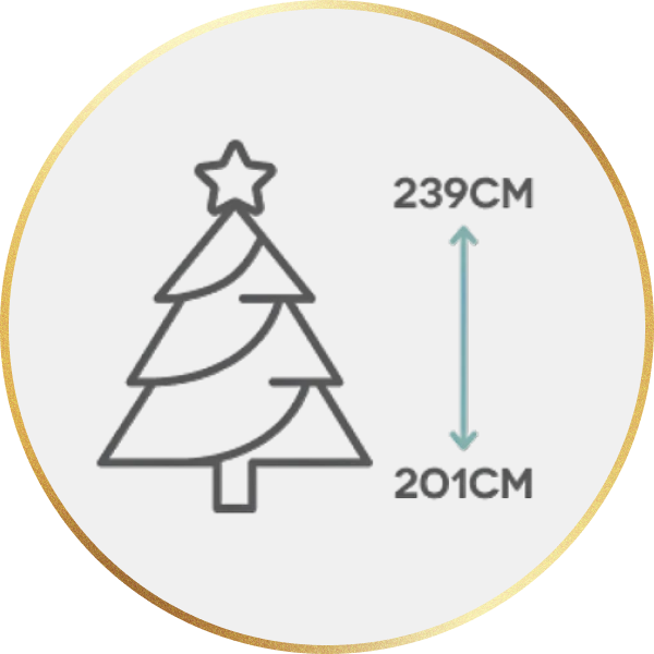 Large Christmas Trees