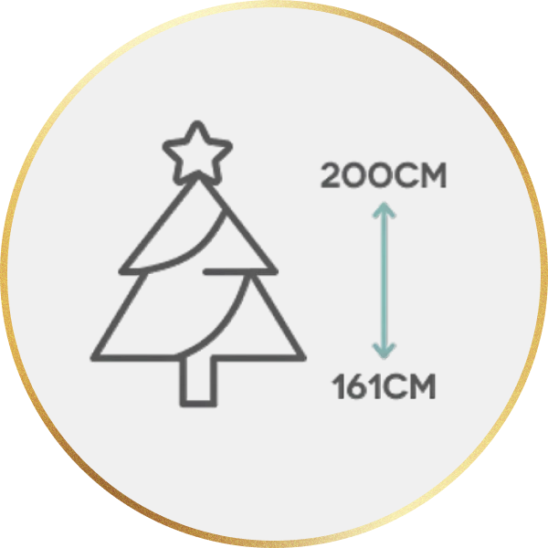 Medium Christmas Trees