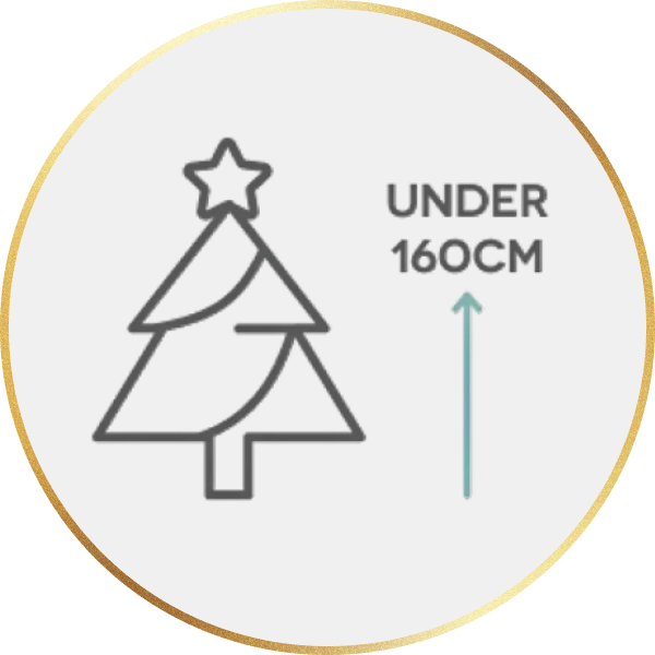 Small Christmas Trees
