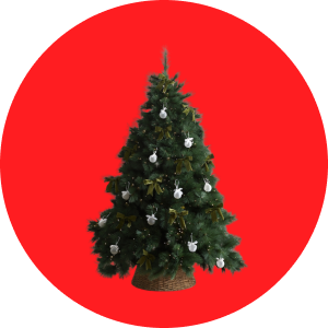 Free Shipping Christmas