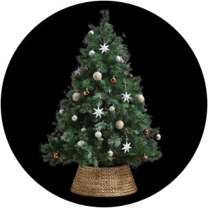 Free Shipping Christmas