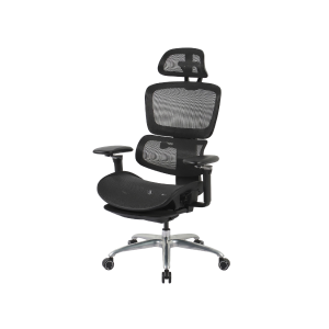 Shop Temple and Webster ergonomic office chairs products