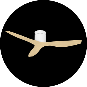 Shop Ceiling Fans on sale
